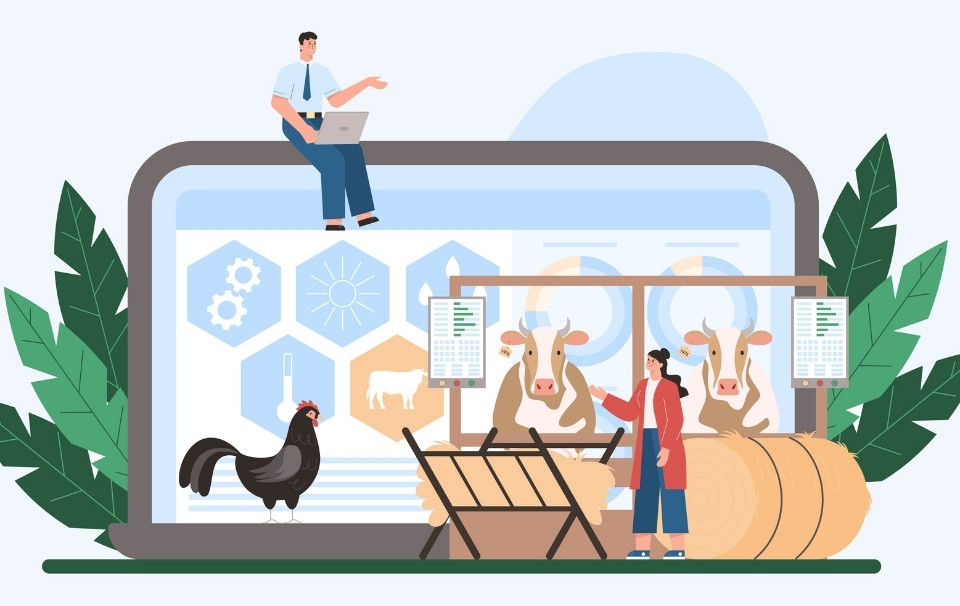 Farm work vs a career in tech: which should you choose?